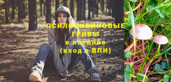 не бодяженный Медвежьегорск