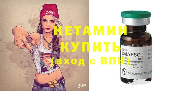 твердый Долгопрудный