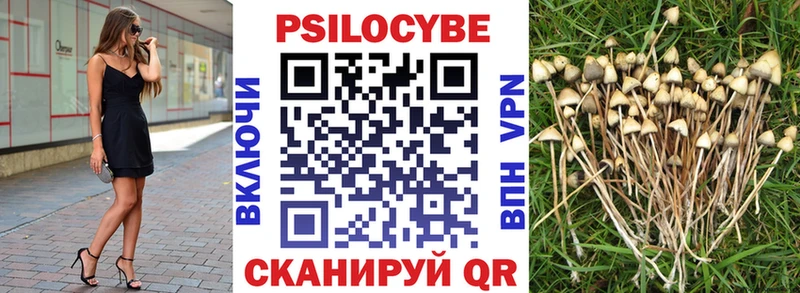 Псилоцибиновые грибы прущие грибы  OMG   Горбатов  где продают  